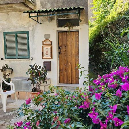 Appartamento Nel Borgo - Casa Del Pellegrino Sulla Via Francigena アウッラ エクステリア 写真